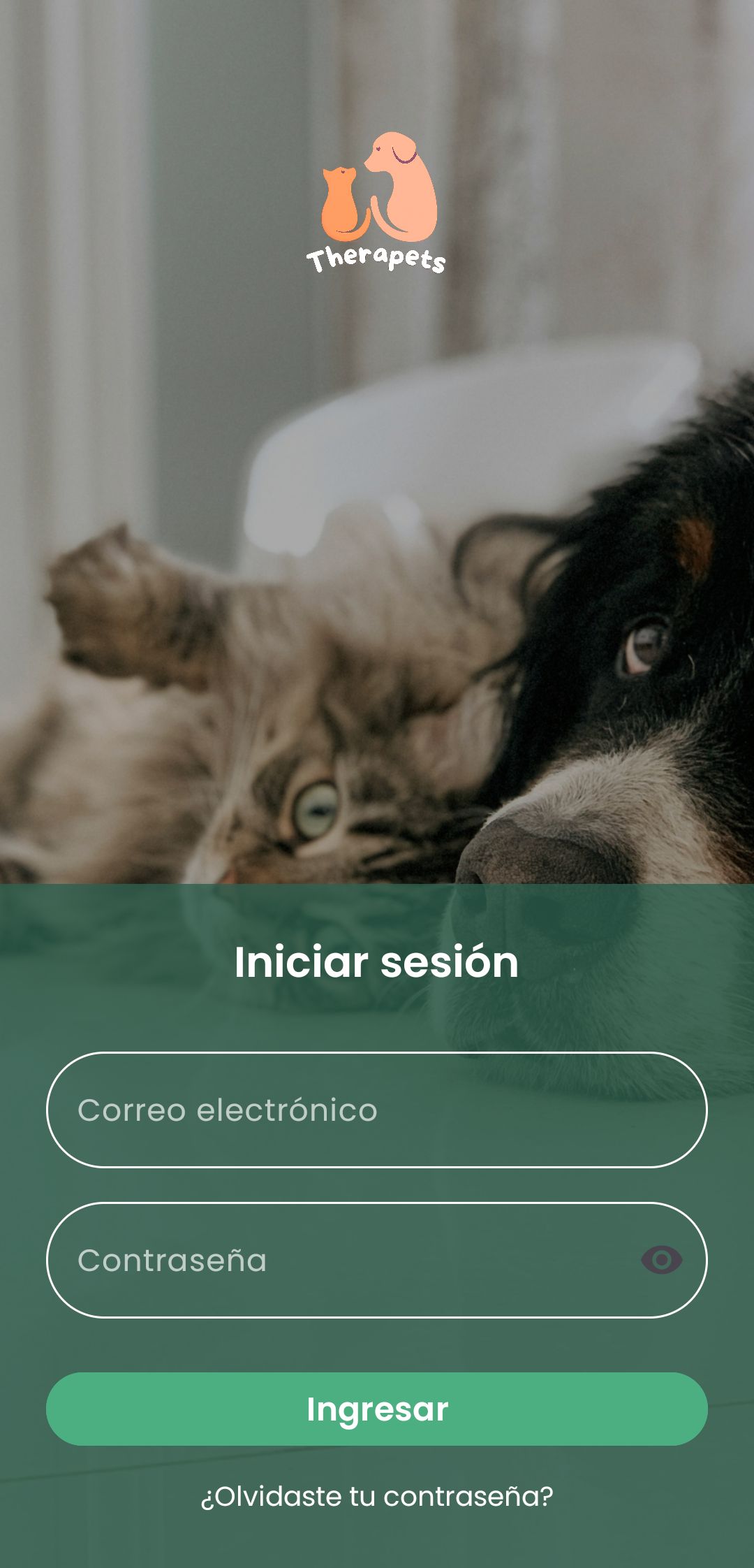 Pantalla de inicio