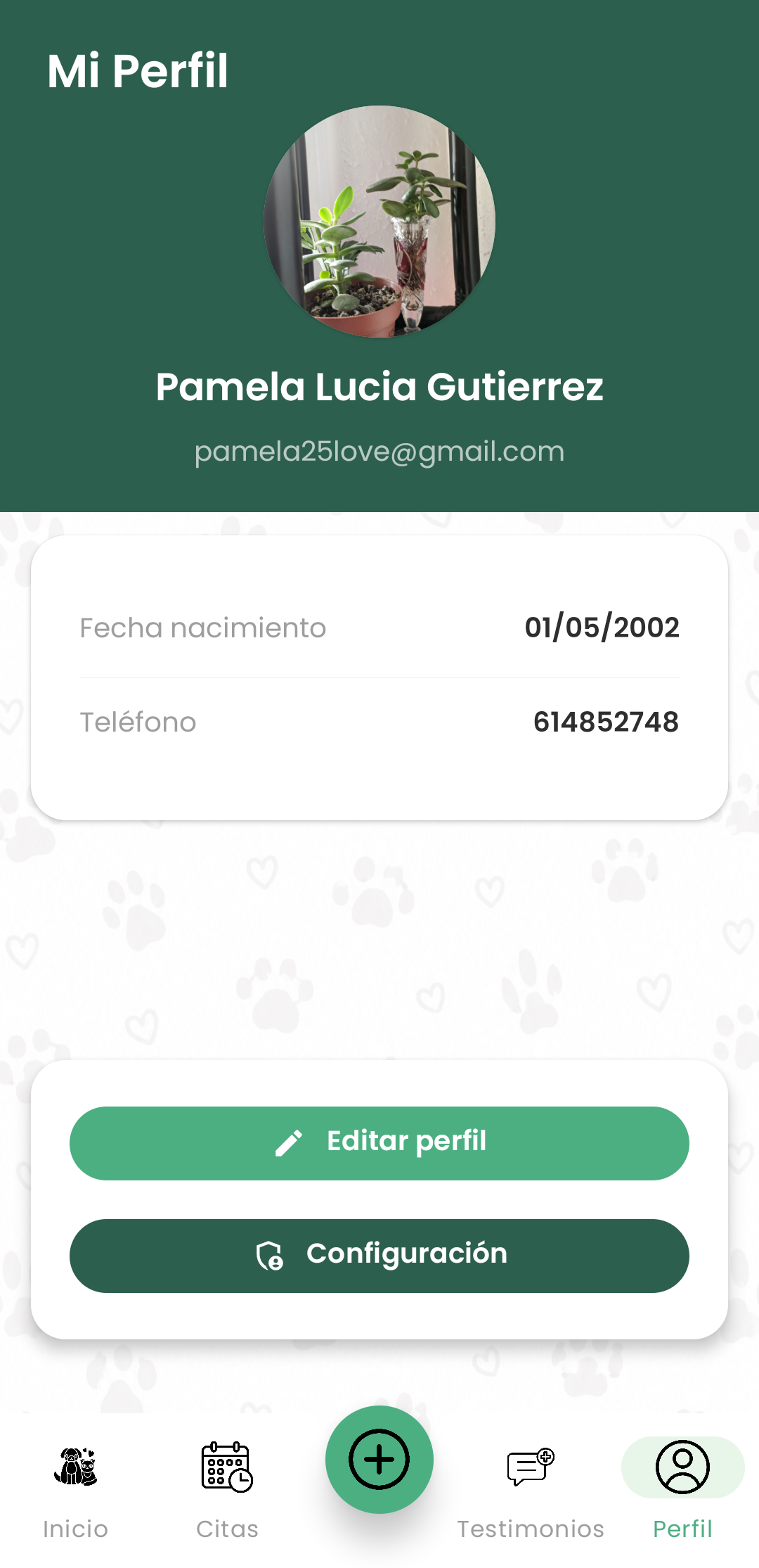 Perfil